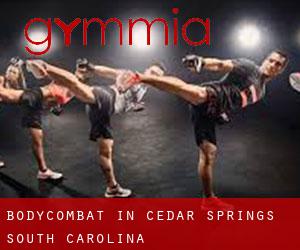 BodyCombat in Cedar Springs (South Carolina)