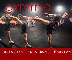 BodyCombat in Cedonia (Maryland)