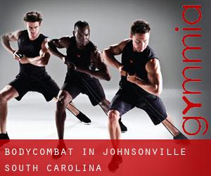 BodyCombat in Johnsonville (South Carolina)