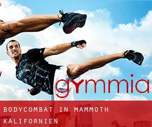 BodyCombat in Mammoth (Kalifornien) BodyCombat in Mammoth (Kalifornien)
