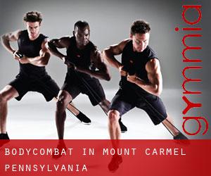 BodyCombat in Mount Carmel (Pennsylvania)