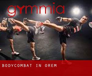 BodyCombat in Orem