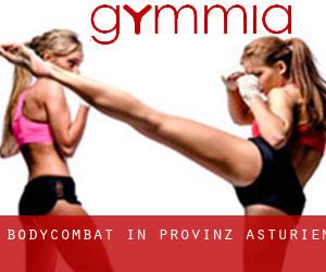 BodyCombat in Provinz Asturien