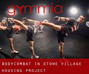 BodyCombat in Stowe Village Housing Project