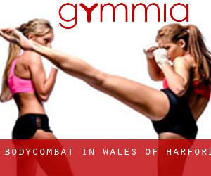 BodyCombat in Wales of Harford