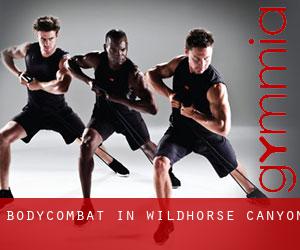 BodyCombat in Wildhorse Canyon