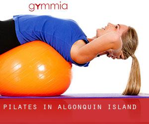 Pilates in Algonquin Island