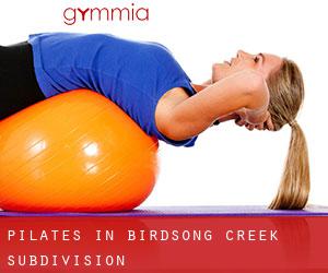 Pilates in Birdsong Creek Subdivision