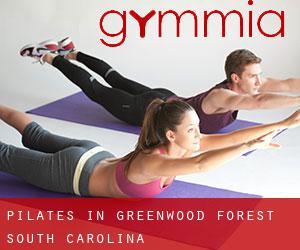 Pilates in Greenwood Forest (South Carolina)