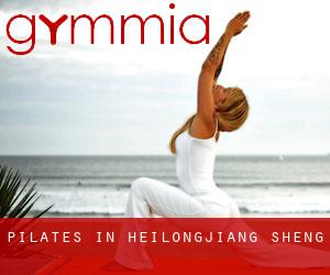 Pilates in Heilongjiang Sheng Pilates in Heilongjiang Sheng