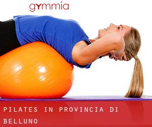 Pilates in Provincia di Belluno