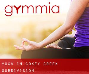 Yoga in Coxey Creek Subdivision