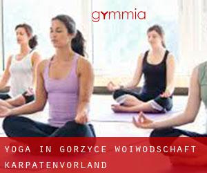 Yoga in Gorzyce (Woiwodschaft Karpatenvorland)