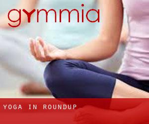 Yoga in Roundup