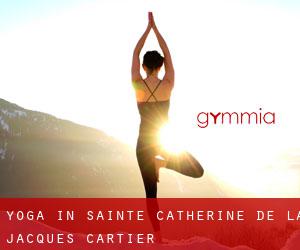 Yoga in Sainte Catherine de la Jacques Cartier