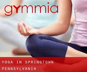 Yoga in Springtown (Pennsylvania)