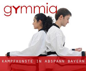 Kampfkünste in Abspann (Bayern)