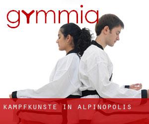 Kampfkünste in Alpinópolis