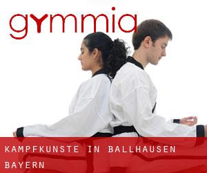 Kampfkünste in Ballhausen (Bayern)
