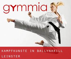 Kampfkünste in Ballynakill (Leinster)