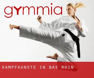 Kampfkünste in Bas-Rhin Kampfkünste in Bas-Rhin