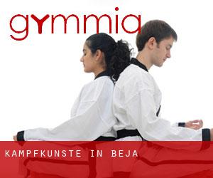 Kampfkünste in Beja Kampfkünste in Beja
