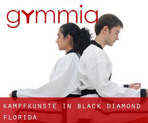 Kampfkünste in Black Diamond (Florida)