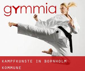 Kampfkünste in Bornholm Kommune