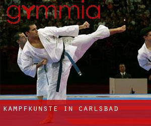 Kampfkünste in Carlsbad Kampfkünste in Carlsbad