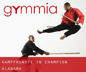 Kampfkünste in Champion (Alabama)