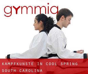 Kampfkünste in Cool Spring (South Carolina)