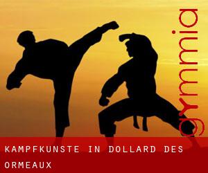 Kampfkünste in Dollard-Des Ormeaux Kampfkünste in Dollard-Des Ormeaux