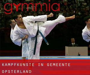 Kampfkünste in Gemeente Opsterland Kampfkünste in Gemeente Opsterland