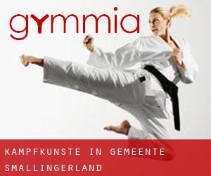 Kampfkünste in Gemeente Smallingerland Kampfkünste in Gemeente Smallingerland