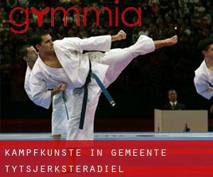 Kampfkünste in Gemeente Tytsjerksteradiel Kampfkünste in Gemeente Tytsjerksteradiel