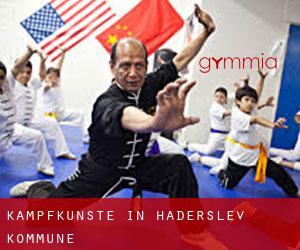 Kampfkünste in Haderslev Kommune Kampfkünste in Haderslev Kommune