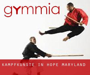 Kampfkünste in Hope (Maryland)