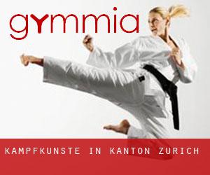 Kampfkünste in Kanton Zürich Kampfkünste in Kanton Zürich