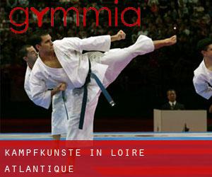 Kampfkünste in Loire-Atlantique Kampfkünste in Loire-Atlantique