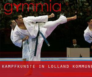 Kampfkünste in Lolland Kommune