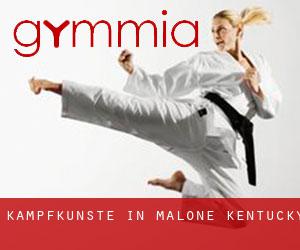 Kampfkünste in Malone (Kentucky) Kampfkünste in Malone (Kentucky)