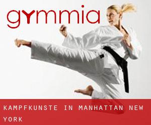 Kampfkünste in Manhattan (New York) Kampfkünste in Manhattan (New York)