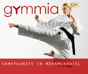 Kampfkünste in Menameradiel Kampfkünste in Menameradiel