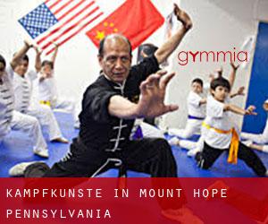 Kampfkünste in Mount Hope (Pennsylvania)