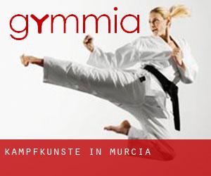 Kampfkünste in Murcia Kampfkünste in Murcia