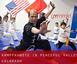 Kampfkünste in Peaceful Valley (Colorado)