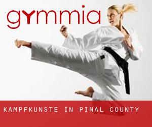 Kampfkünste in Pinal County Kampfkünste in Pinal County