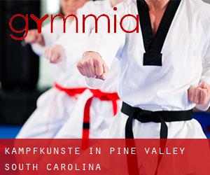 Kampfkünste in Pine Valley (South Carolina)