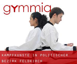 Kampfkünste in Politischer Bezirk Feldkirch Kampfkünste in Politischer Bezirk Feldkirch