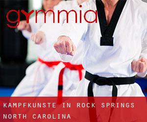 Kampfkünste in Rock Springs (North Carolina)